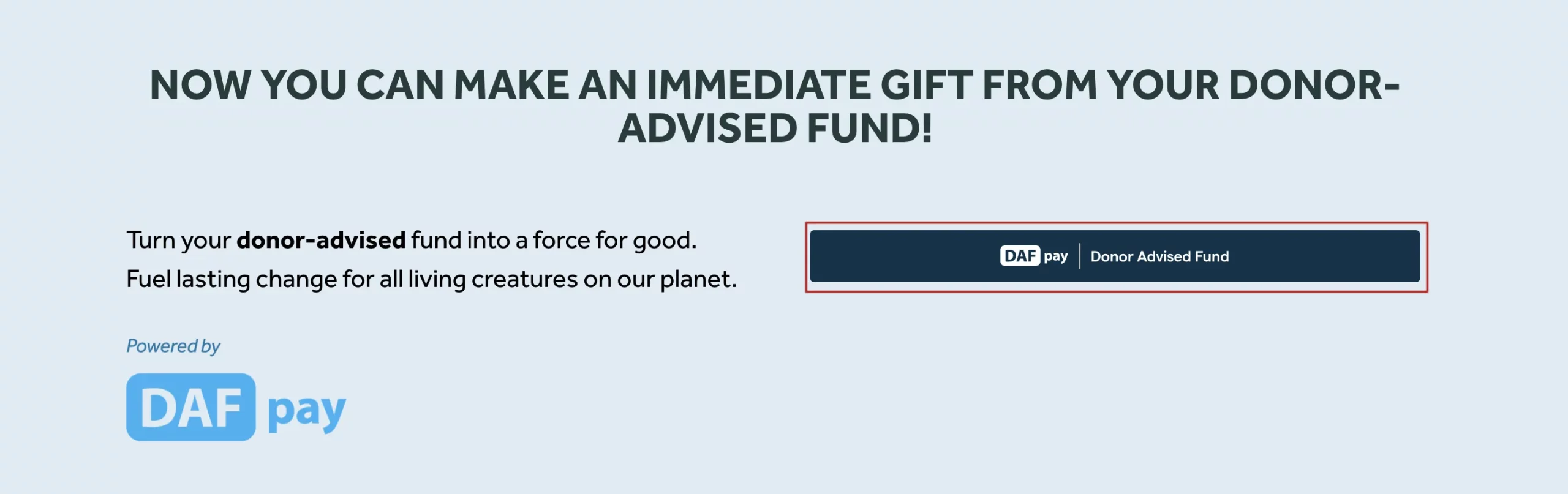 Landing page example for DAF